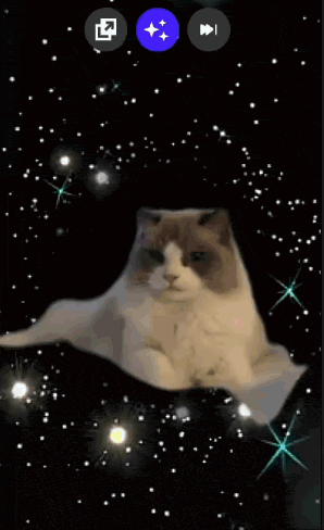 a brown and white cat is sitting in front of a black background with stars