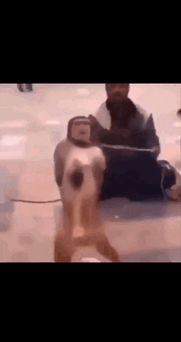 a man is sitting on the ground with a dog on a leash in front of him .