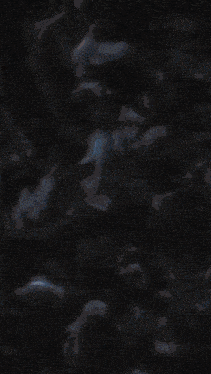 the word pbb is on a black background with flames