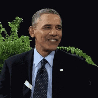 barack obama is wearing a suit and tie and smiling while sitting in front of a plant .