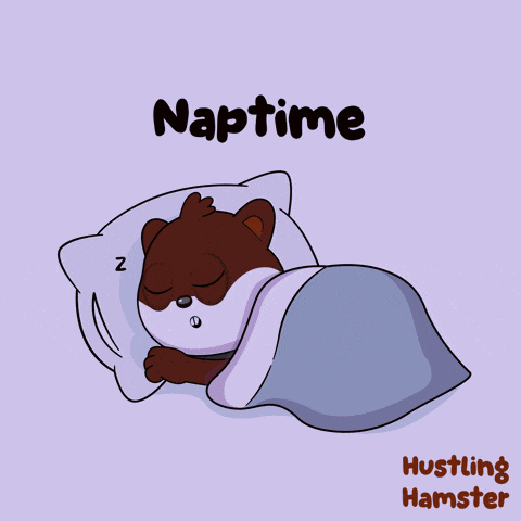 a cartoon of a bear sleeping under a blanket with the words naptime hustling hamster on the bottom