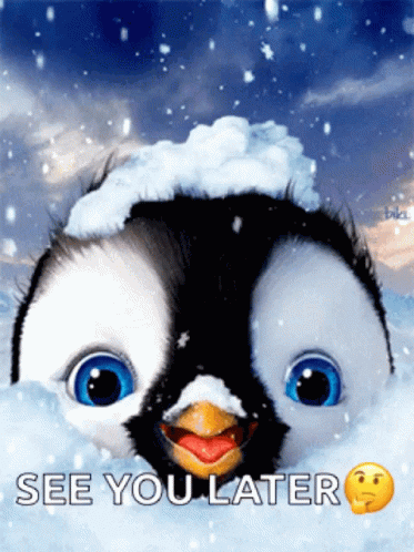 Penguin Snow GIF - Penguin Snow Cute GIFs