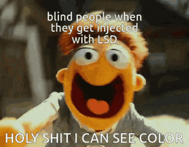 a muppet says holy shit i can see color