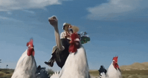 a man is riding an ostrich surrounded by chickens