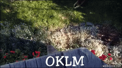 Escalade Oklm GIF - Oklm Aucalme Chat GIFs