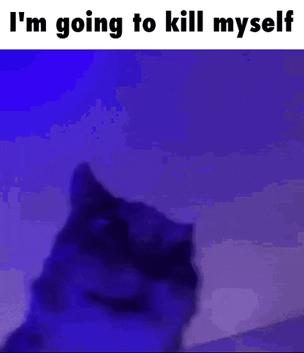 a cat is standing in front of a purple background with the words `` i 'm going to kill myself ''