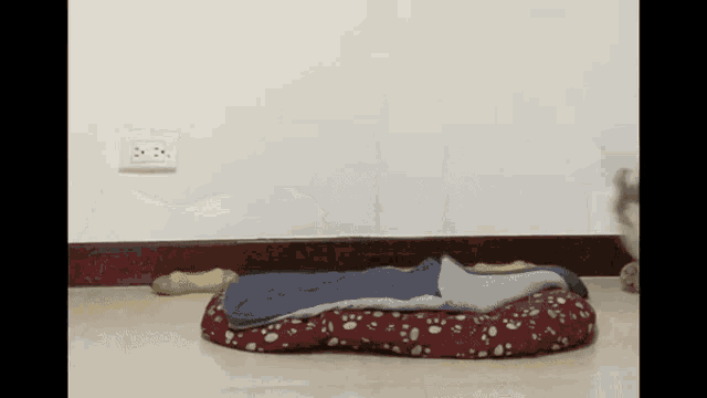 a dog bed with a blanket on top of it