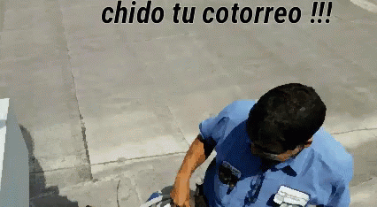 Chido Tu Cotorreo GIF - Chido Tu Cotorreo Chido Tu Cotorreo GIFs