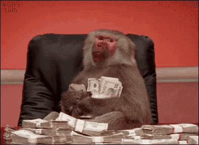 Monkey Money GIF - Monkey Money Cash GIFs
