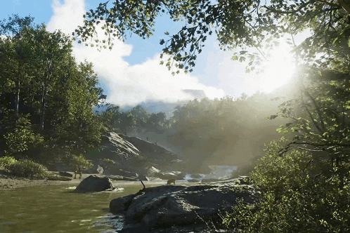 the sun is shining through the trees and a river