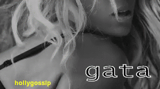 Gata Beyoncé GIF - Linda Gata Gostosa GIFs