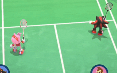 shadow the hedgehog and amy rose are playing badminton on a tennis court