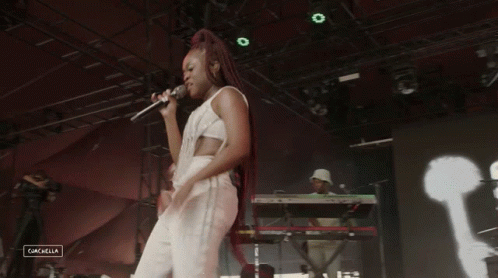 Hold It Sampa The Great GIF - Hold It Sampa The Great Coachella GIFs