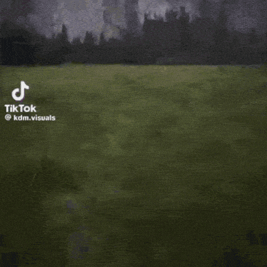a painting of a field with mountains in the background and a tik tok logo