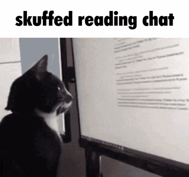 Skuffed Chat Reading GIF - Skuffed Chat Reading Reading GIFs