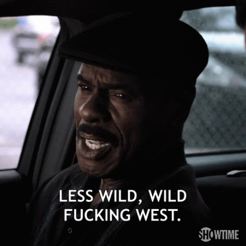 Less Wild Fucking West GIF - Less Wild Wild Fucking West GIFs