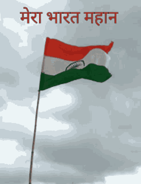 Flag Of India Flag GIF - Flag Of India Flag India GIFs