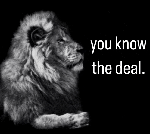a black and white photo of a lion next to the words you know the deal