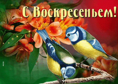 two birds perched on a branch with flowers in the background and the words " c bockpacem " on the bottom