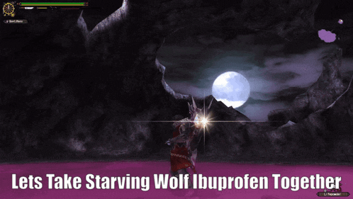 a screenshot of a video game with the words lets take starving wolf ibuprofen together