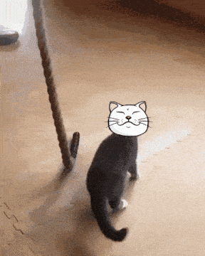a cat with a cartoon face on its head