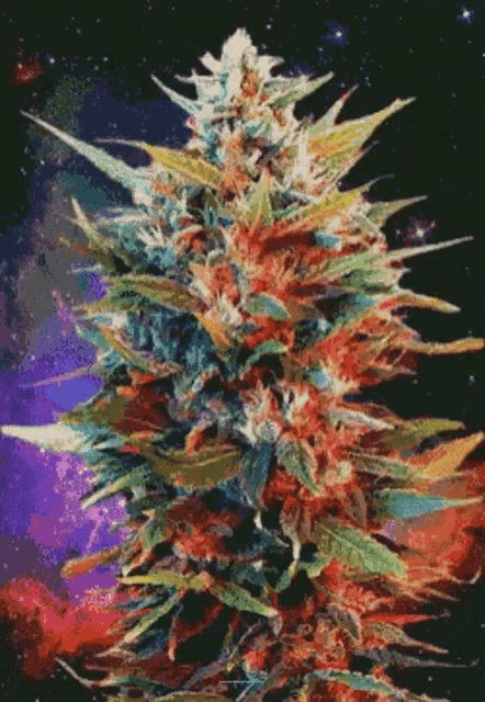 a painting of a marijuana plant with a purple background