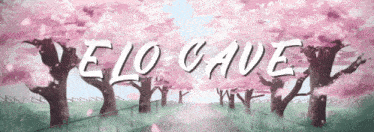 a painting of cherry blossoms with the words velo cave