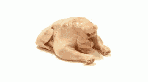 a chicken that looks like a bear is laying on its back on a white surface .