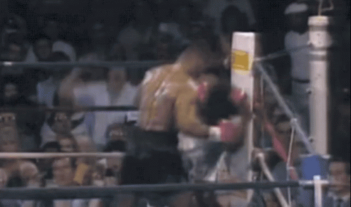 Knockout Fight GIF - Knockout Fight Tyson GIFs