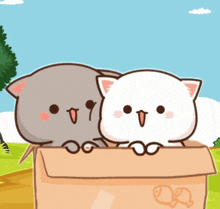 two cartoon characters are sitting in a cardboard box with the letter d on it