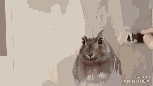 a person is painting a rabbit on a piece of paper with a brush .
