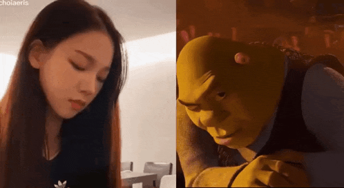 a woman and shrek are sitting next to each other .