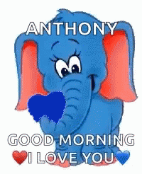 Good Morning Anthony Jollyzinho GIF - Good Morning Anthony Jollyzinho Elephant GIFs
