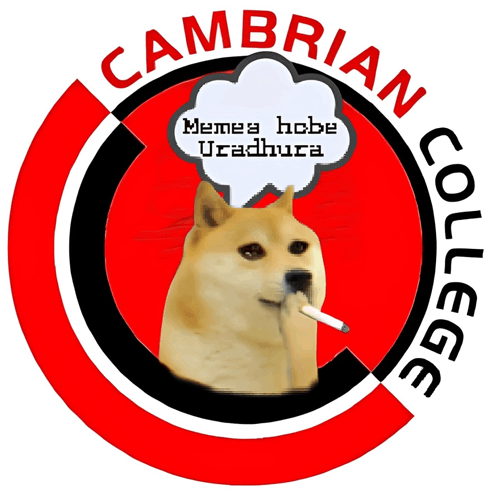 The Cambrian Backbenchers Society Cambrian School & College GIF - The Cambrian Backbenchers Society Cambrian Cambrian School & College GIFs