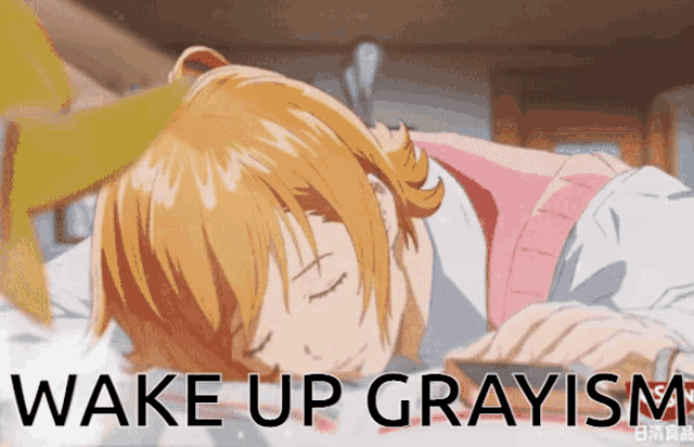 a picture of a girl sleeping with the words wake up grayism