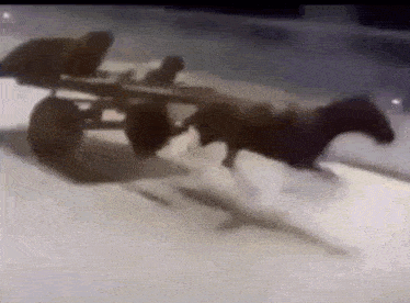 a horse drawn carriage is driving down a snowy street .