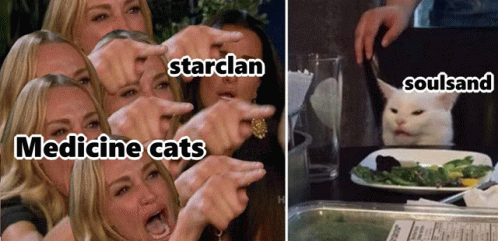 Wcbl Starclan GIF - Wcbl Starclan Cat GIFs