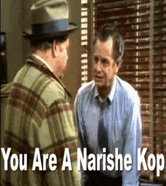 Meathead All In The Family GIF - Meathead All In The Family Yiddish GIFs