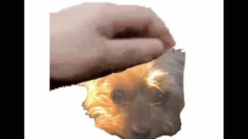 Pet Myenderdog GIF - Pet Myenderdog Pepepet GIFs