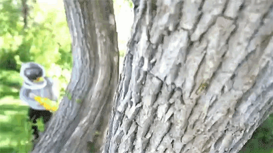 a person in a bee suit is standing next to a tree trunk