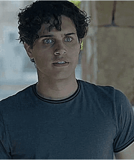 a young man with curly hair is wearing a gray t-shirt .