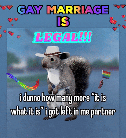 a squirrel wearing a cowboy hat with the words gay marriage is legal on the top