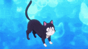 a black and white cat is swimming in the ocean