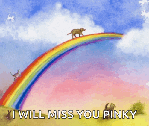 a painting of a dog on a rainbow with the words i will miss you pinky below it