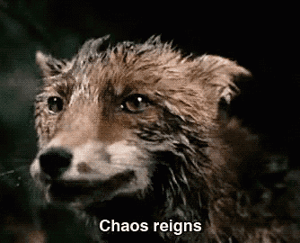 a close up of a fox 's face with the words chaos reigns above it