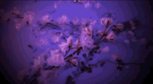 purple flowers with the words you 're on your own kid you always have been