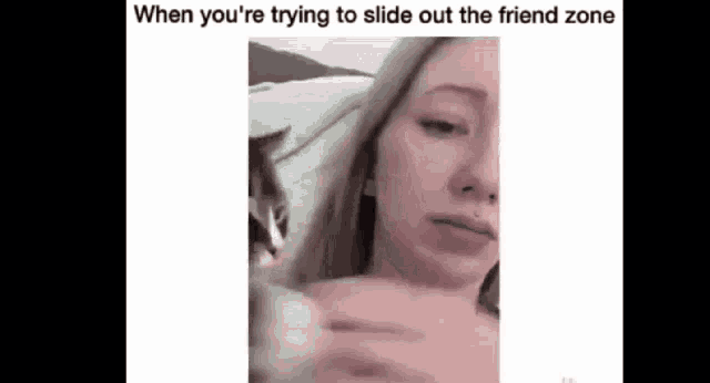 Friend Zone Cats GIF - Friend Zone Cats When Youre Trying To Slide Out GIFs