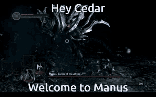 a video game screen that says hey cedar welcome to manus