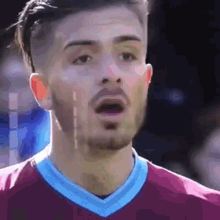 a man with a beard is wearing a maroon and blue shirt