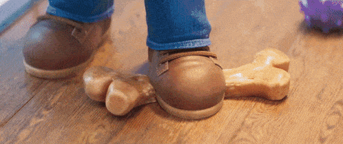 a person standing on a wooden floor with a dog bone on the ground